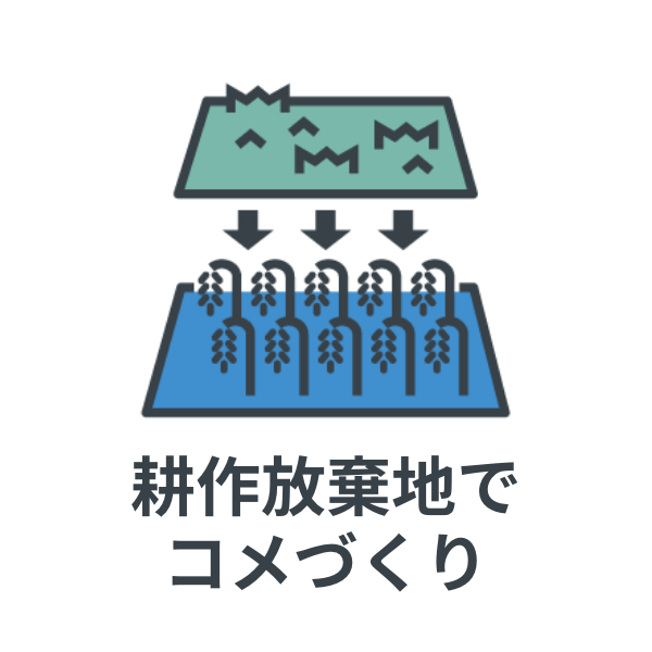 耕作放棄地でコメづくり