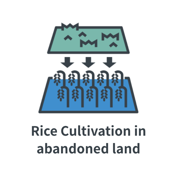 Rice Cultivation in abandoned land